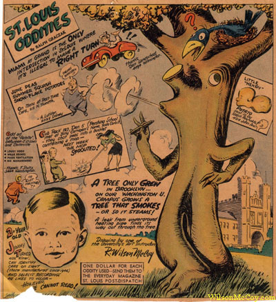 STlouisODDwilsonMcCoy